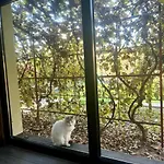 O Casa 펜션