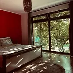 O Casa *