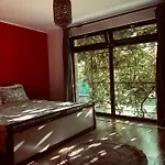 O Casa 펜션 Douăzeci şi Trei August