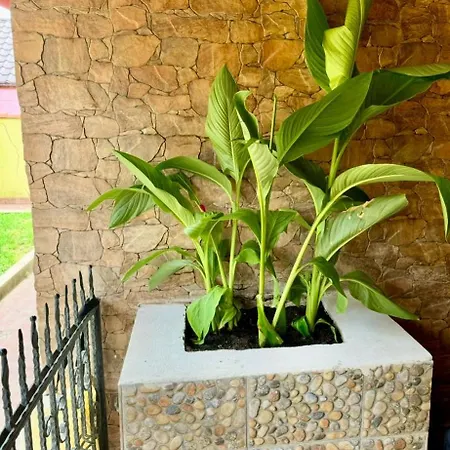 Prázdninový dům O Casa