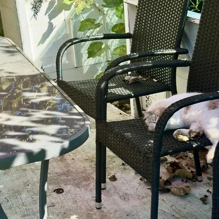 O Casa * Douăzeci şi Trei August