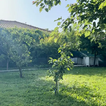 O Casa Douăzeci şi Trei August