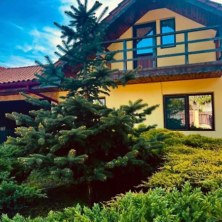 O Casa 펜션 Douăzeci şi Trei August