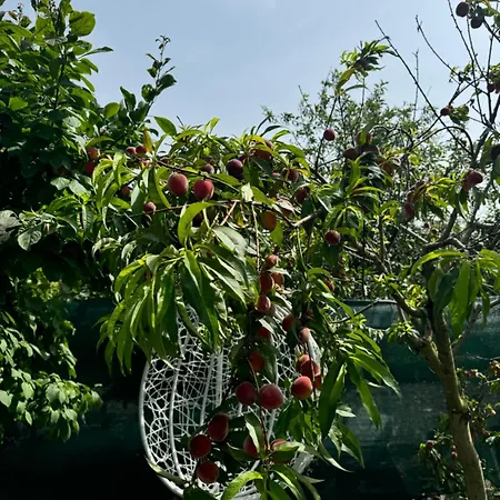 O Casa Prázdninový dům