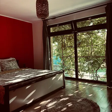 O Casa 別荘 Douăzeci şi Trei August