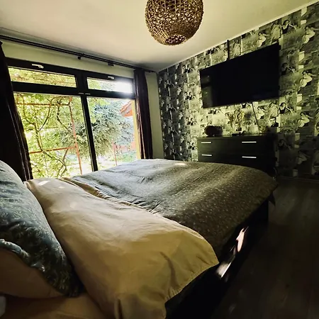 O Casa * Douăzeci şi Trei August
